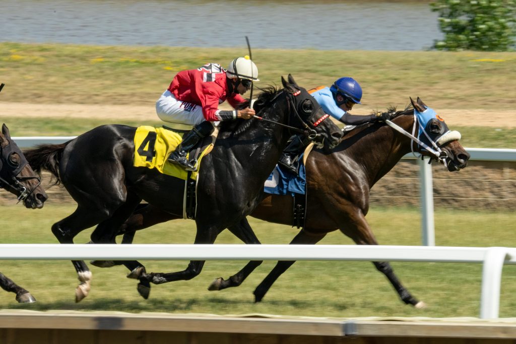 Image of a Horse Race